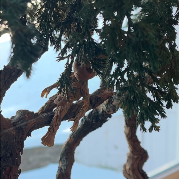 Meet your Posher, Lori (Bubbles) - Picture 13 of 16